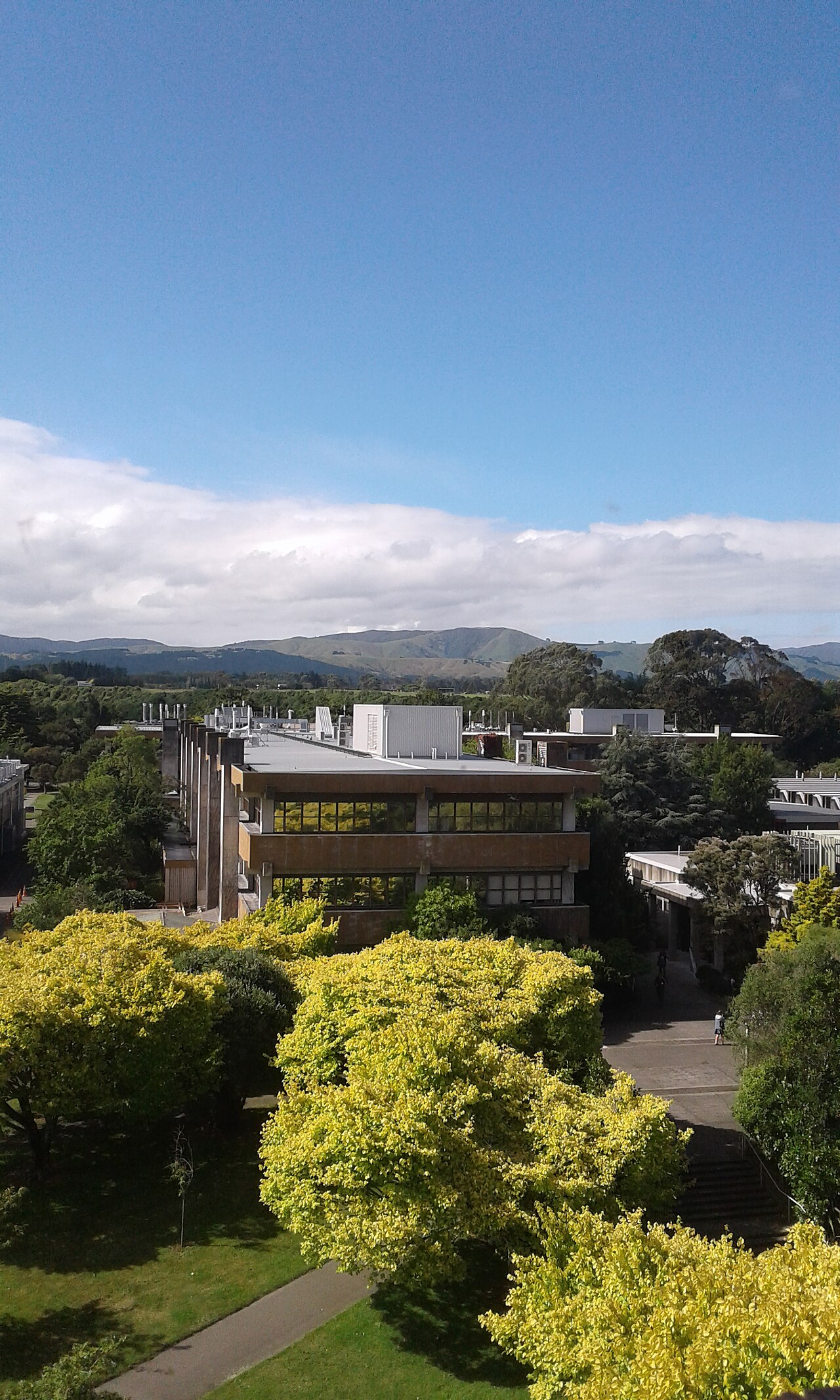Massey University Manawatū校園資料照