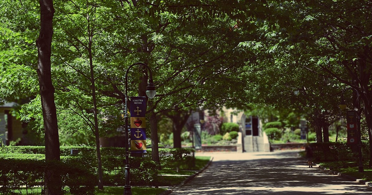 Photo of the campus of the University of Toronto, Canada