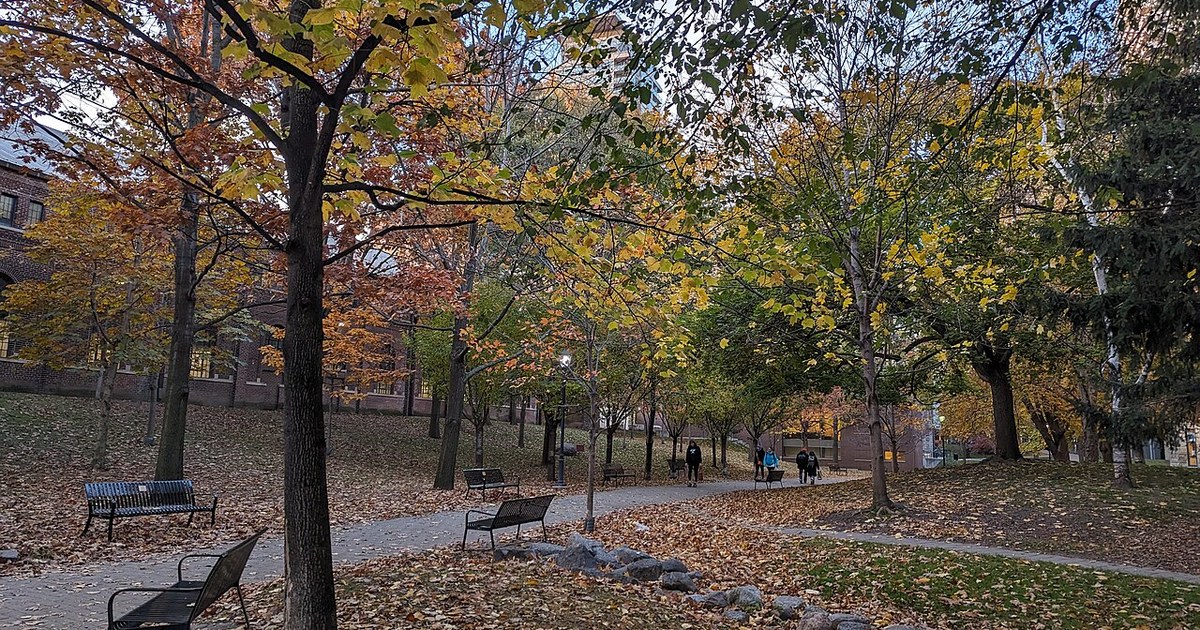 University campus in Toronto, Canada, symbolizing the return and attendance of international students